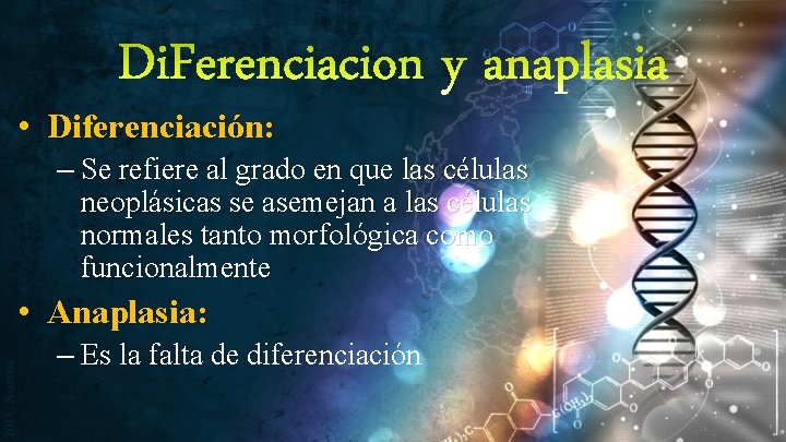 Di. Ferenciacion y anaplasia • Diferenciación: – Se refiere al grado en que las