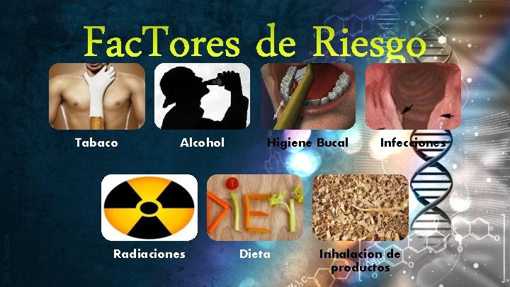 Fac. Tores de Riesgo Tabaco Alcohol Radiaciones Higiene Bucal Dieta Infecciones Inhalacion de productos