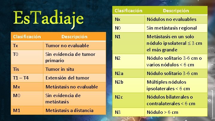 Es. Tadiaje Clasificación Descripción Nx Nódulos no evaluables N 0 Sin metástasis regional N