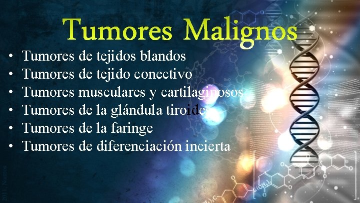  • • • Tumores Malignos Tumores de tejidos blandos Tumores de tejido conectivo