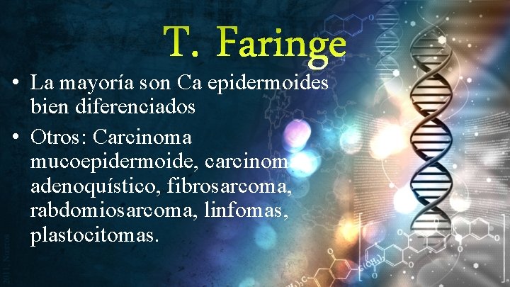 T. Faringe • La mayoría son Ca epidermoides bien diferenciados • Otros: Carcinoma mucoepidermoide,