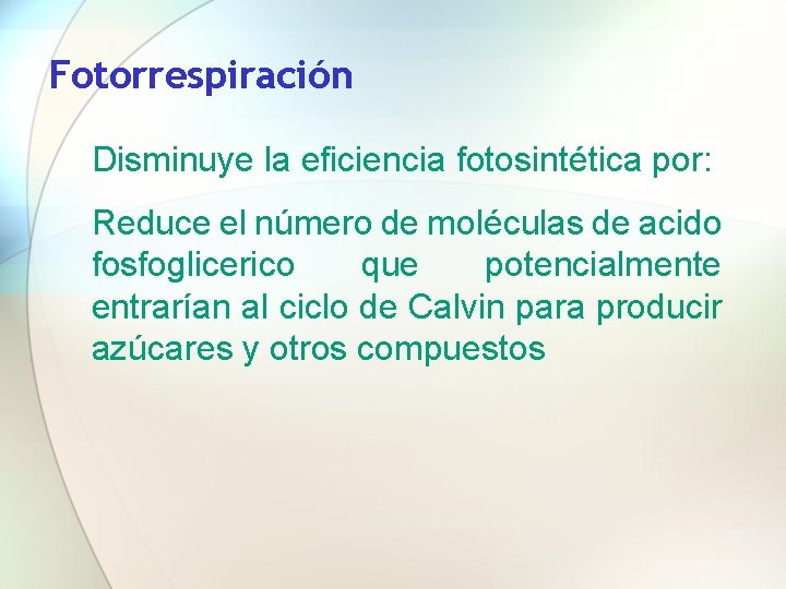 Fotorrespiración Disminuye la eficiencia fotosintética por: Reduce el número de moléculas de acido fosfoglicerico