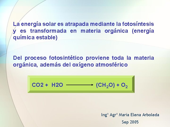 La energía solar es atrapada mediante la fotosíntesis y es transformada en materia orgánica