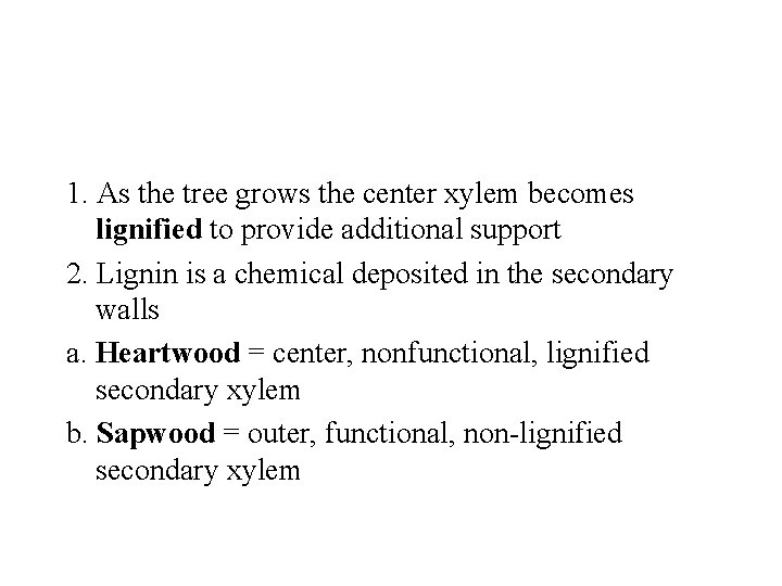 1. As the tree grows the center xylem becomes lignified to provide additional support