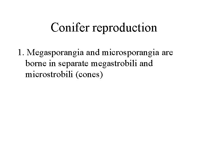 Conifer reproduction 1. Megasporangia and microsporangia are borne in separate megastrobili and microstrobili (cones)