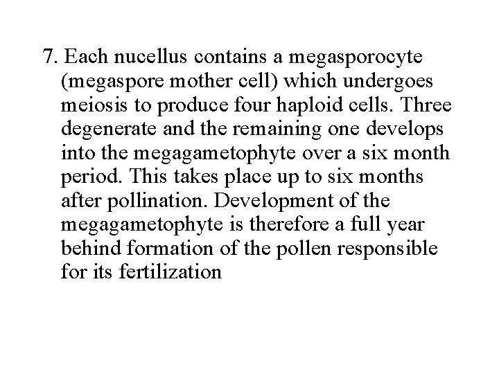 7. Each nucellus contains a megasporocyte (megaspore mother cell) which undergoes meiosis to produce