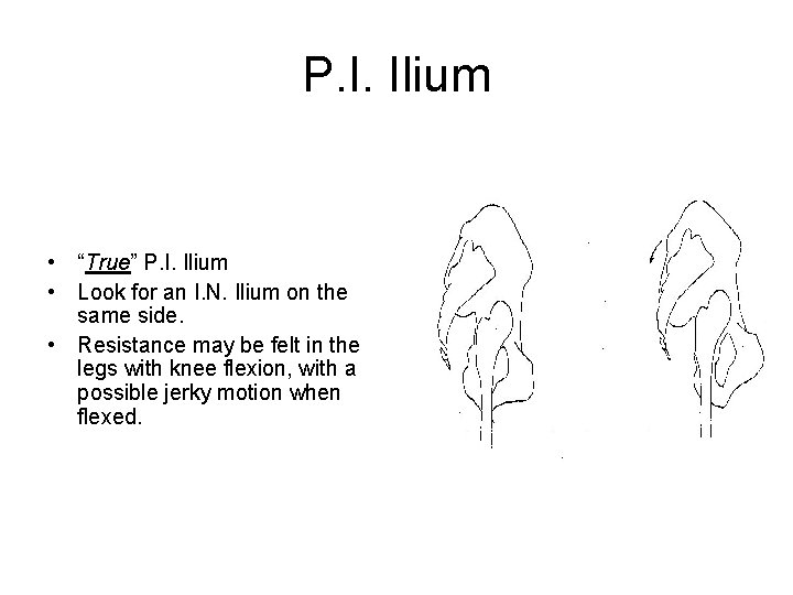 P. I. Ilium • “True” P. I. Ilium • Look for an I. N.