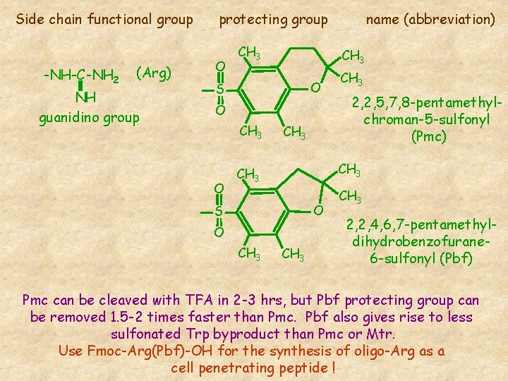 Side chain functional group -NH-C-NH 2 (Arg) NH guanidino group protecting group O CH