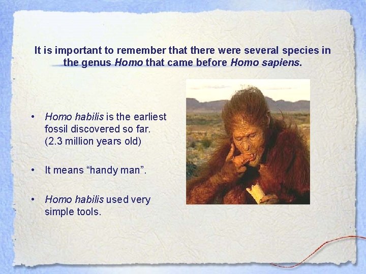 It is important to remember that there were several species in the genus Homo