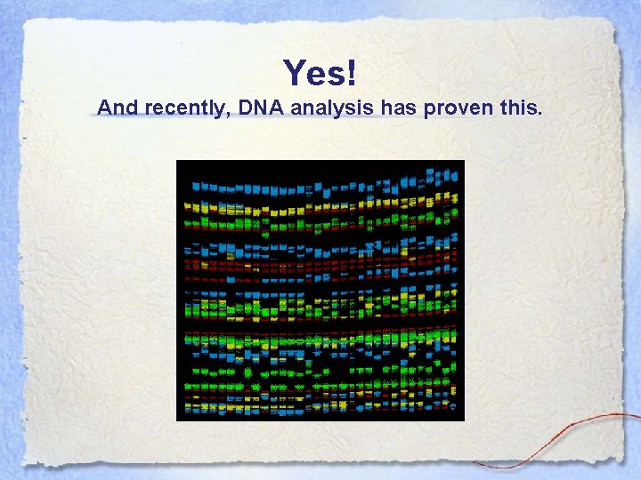 Yes! And recently, DNA analysis has proven this. 