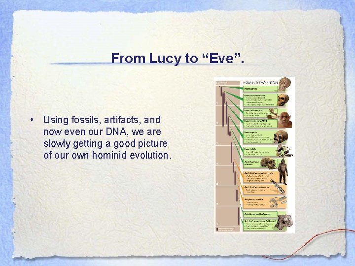 From Lucy to “Eve”. • Using fossils, artifacts, and now even our DNA, we