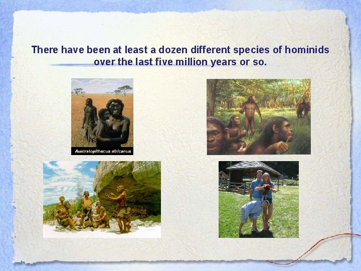 There have been at least a dozen different species of hominids over the last