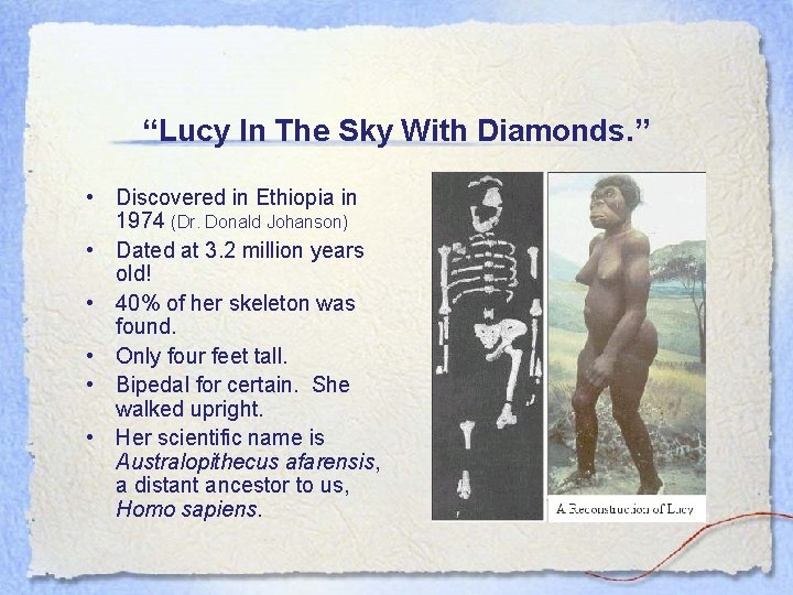 “Lucy In The Sky With Diamonds. ” • Discovered in Ethiopia in 1974 (Dr.