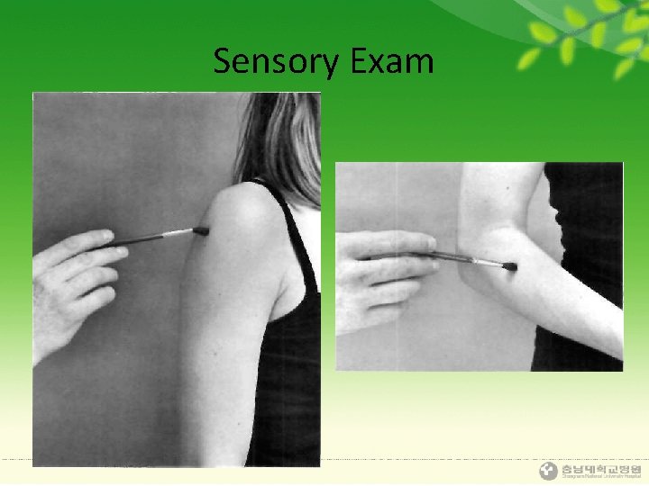 Sensory Exam 