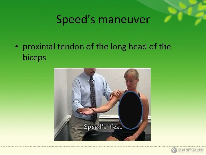 Speed's maneuver • proximal tendon of the long head of the biceps 