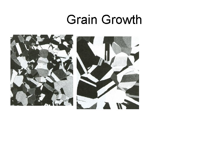 Grain Growth 