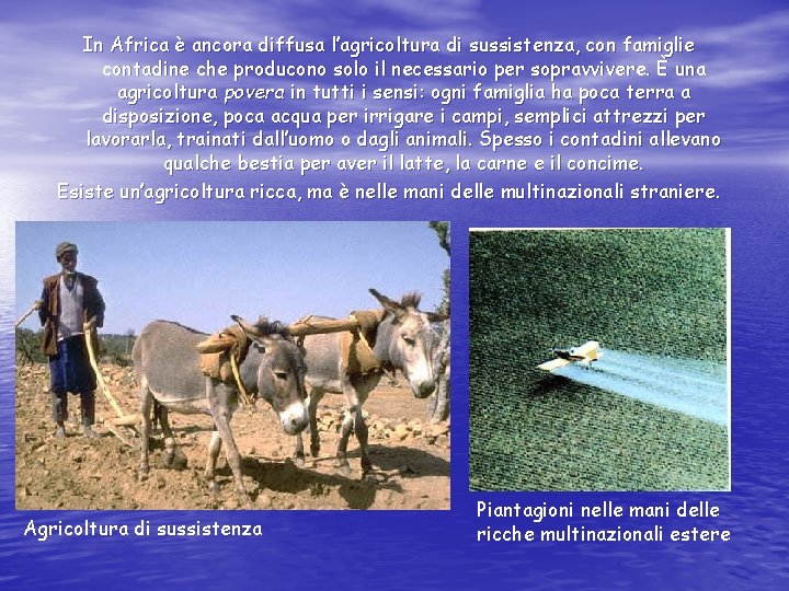 In Africa è ancora diffusa l’agricoltura di sussistenza, con famiglie contadine che producono solo