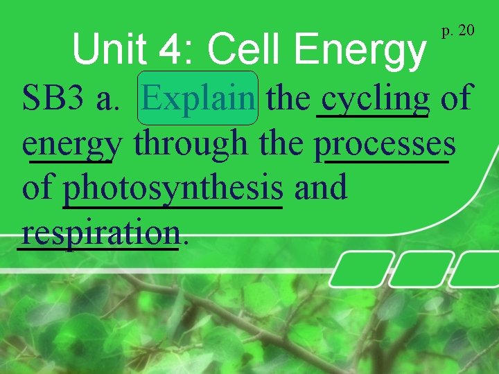Unit 4: Cell Energy p. 20 SB 3 a. Explain the cycling of energy