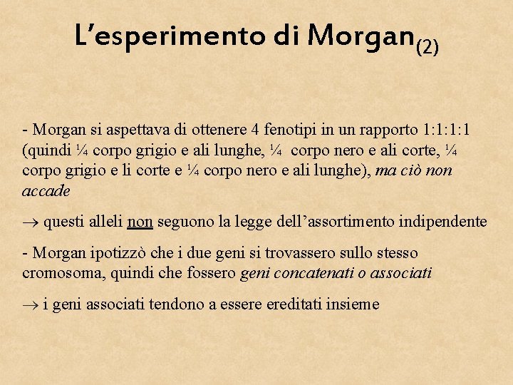 L’esperimento di Morgan(2) - Morgan si aspettava di ottenere 4 fenotipi in un rapporto