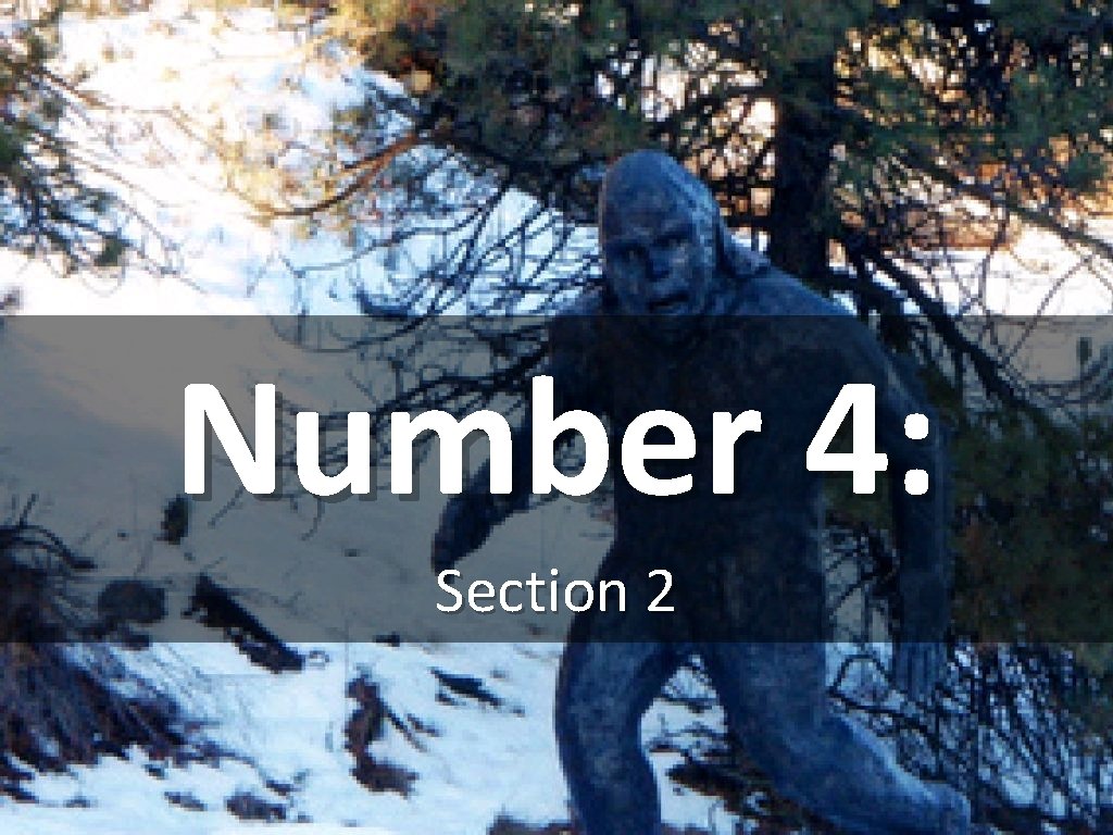 Number 4: Section 2 