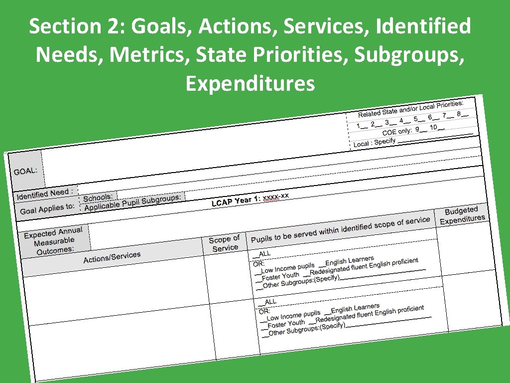 Section 2: Goals, Actions, Services, Identified Needs, Metrics, State Priorities, Subgroups, Expenditures 