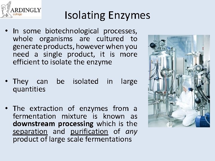 Isolating Enzymes • In some biotechnological processes, whole organisms are cultured to generate products,
