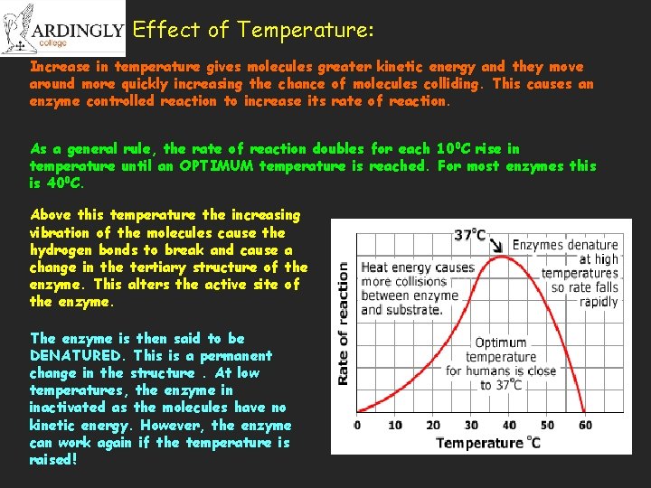 Effect of Temperature: Increase in temperature gives molecules greater kinetic energy and they move