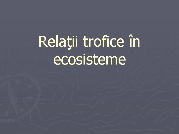 Relaţii trofice în ecosisteme 