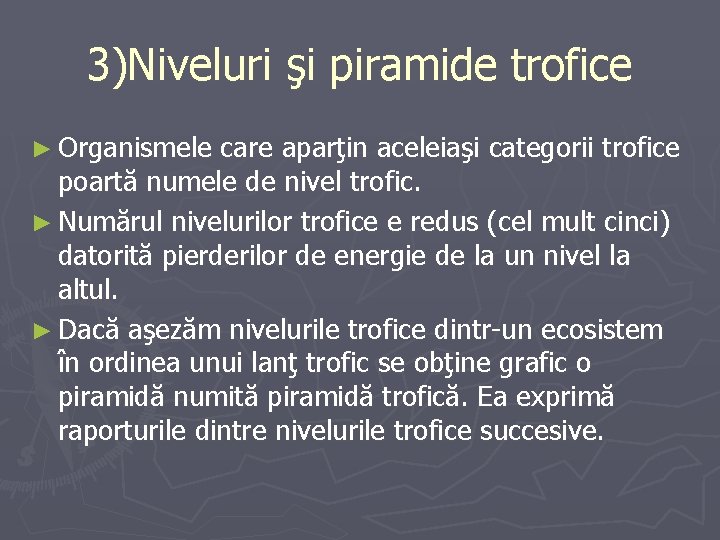 3)Niveluri şi piramide trofice ► Organismele care aparţin aceleiaşi categorii trofice poartă numele de