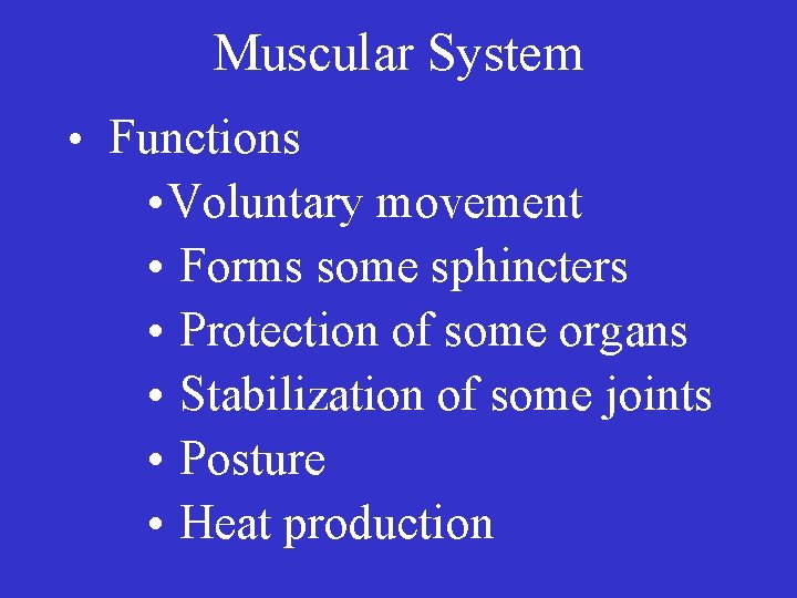 Muscular System • Functions • Voluntary movement • Forms some sphincters • Protection of