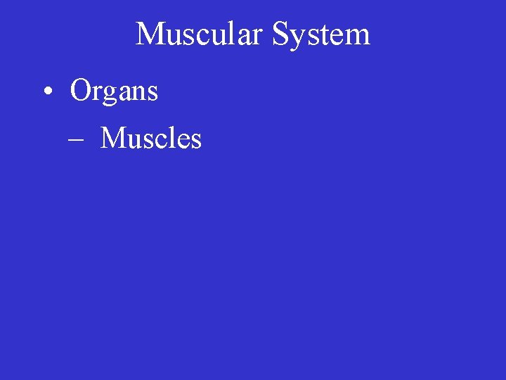 Muscular System • Organs – Muscles 