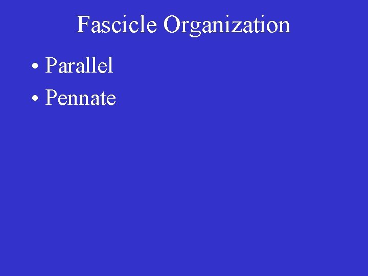 Fascicle Organization • Parallel • Pennate 