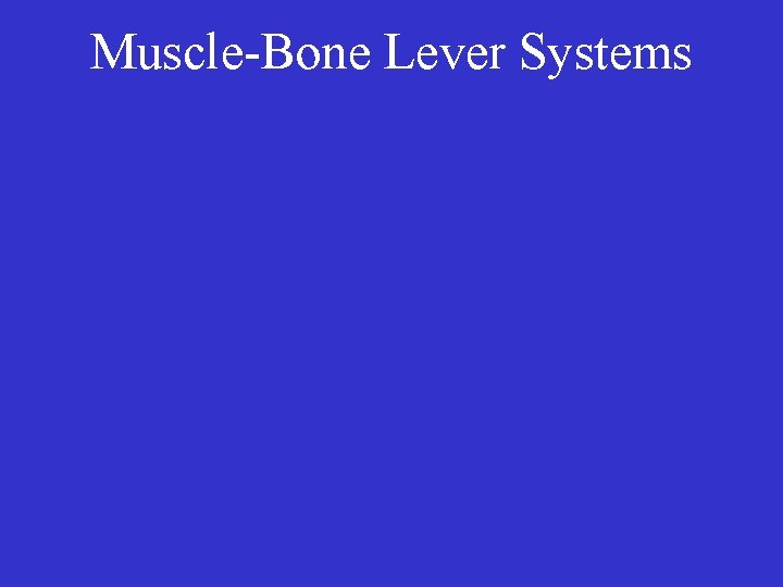 Muscle-Bone Lever Systems 