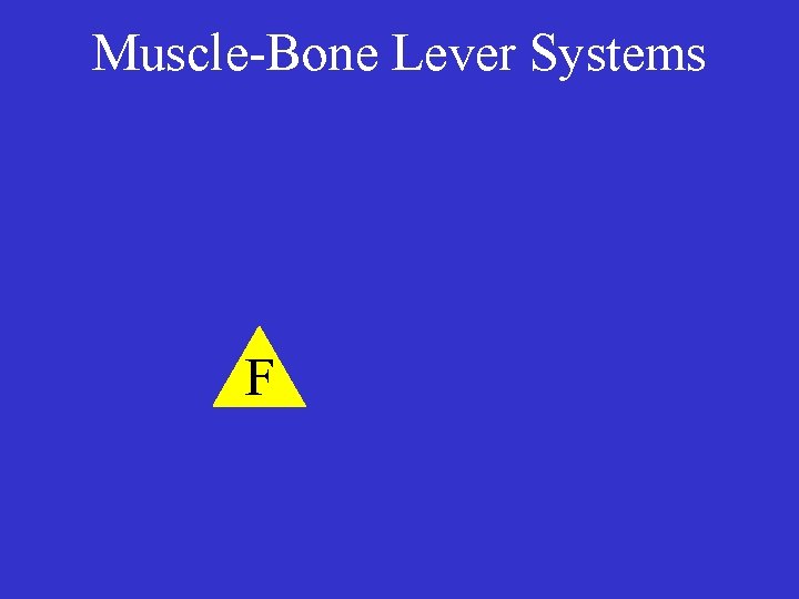 Muscle-Bone Lever Systems F 