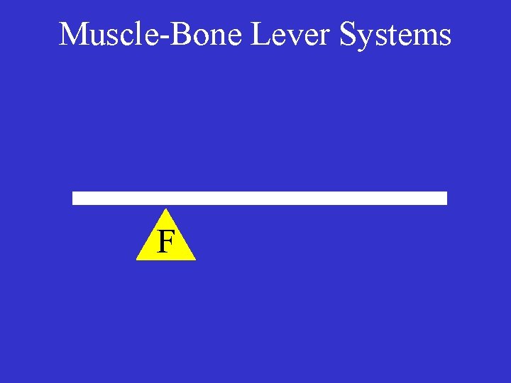 Muscle-Bone Lever Systems F 