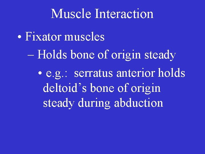 Muscle Interaction • Fixator muscles – Holds bone of origin steady • e. g.