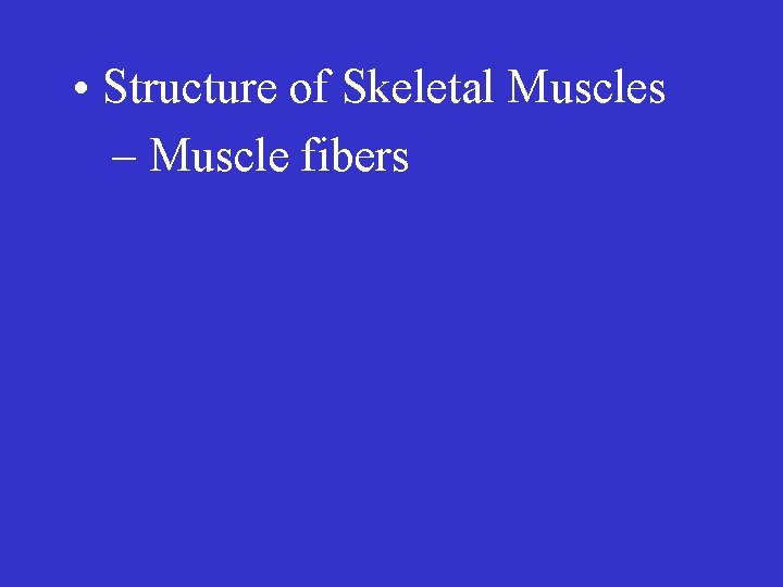  • Structure of Skeletal Muscles – Muscle fibers 