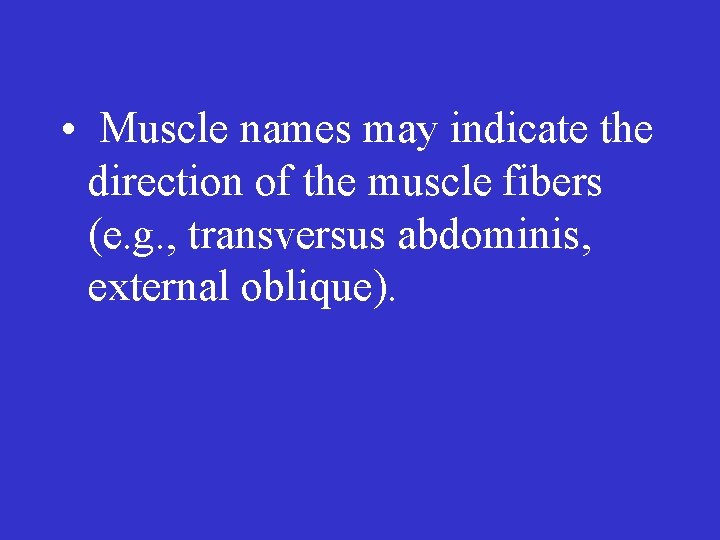  • Muscle names may indicate the direction of the muscle fibers (e. g.