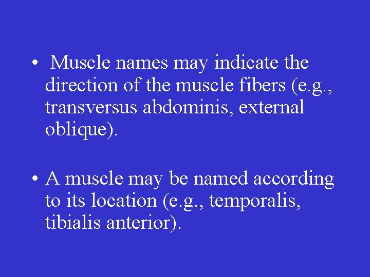  • Muscle names may indicate the direction of the muscle fibers (e. g.