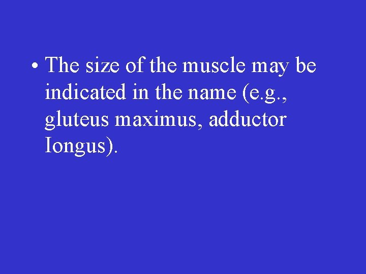  • The size of the muscle may be indicated in the name (e.