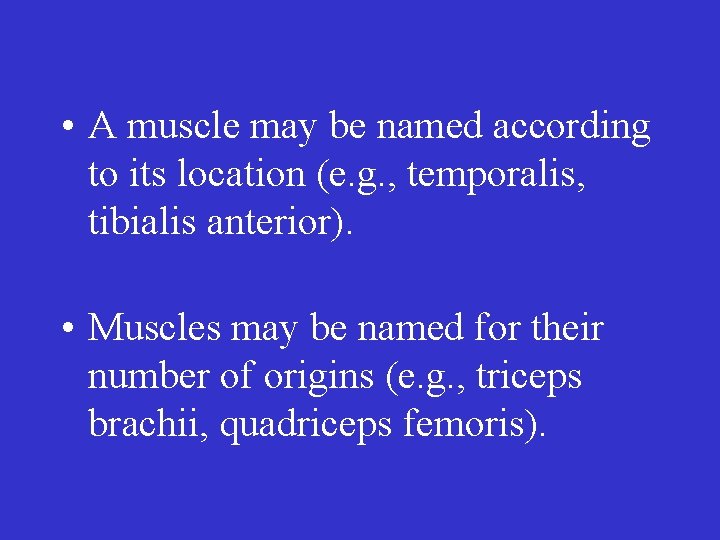  • A muscle may be named according to its location (e. g. ,