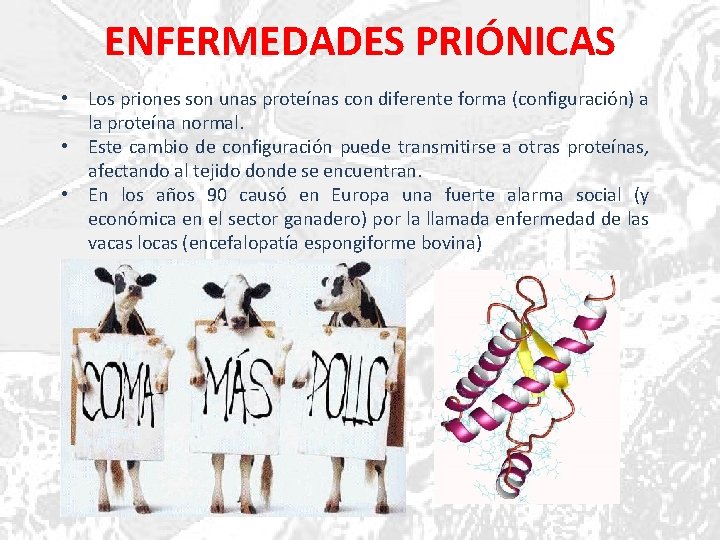 ENFERMEDADES PRIÓNICAS • Los priones son unas proteínas con diferente forma (configuración) a la