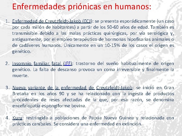 Enfermedades priónicas en humanos: 1. Enfermedad de Creutzfeldt-Jakob (ECJ): se presenta esporádicamente (un caso