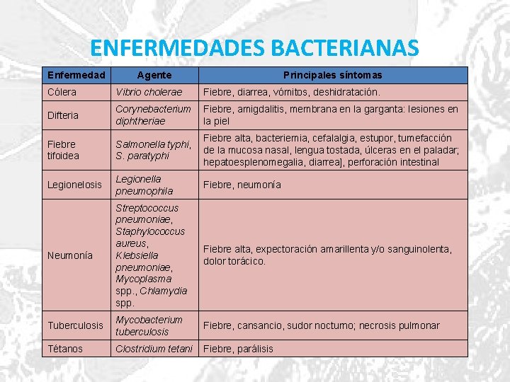 ENFERMEDADES BACTERIANAS Enfermedad Agente Principales síntomas Cólera Vibrio cholerae Fiebre, diarrea, vómitos, deshidratación. Difteria