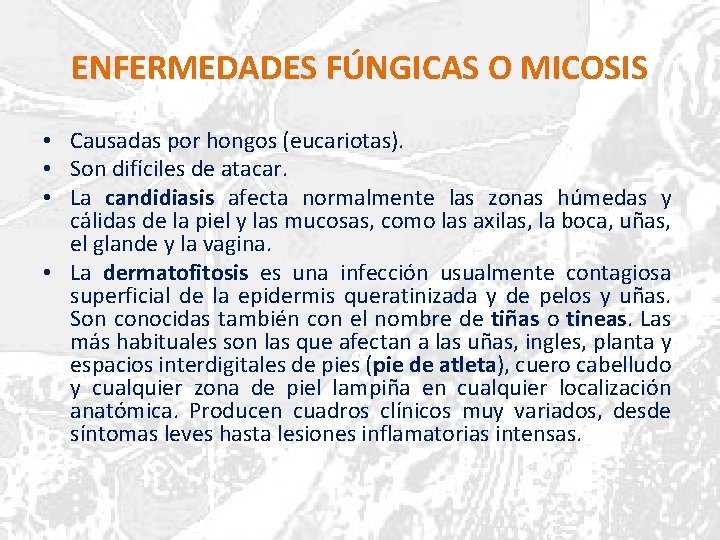 ENFERMEDADES FÚNGICAS O MICOSIS • Causadas por hongos (eucariotas). • Son difíciles de atacar.