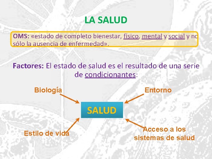 LA SALUD OMS: «estado de completo bienestar, físico, mental y social y no sólo