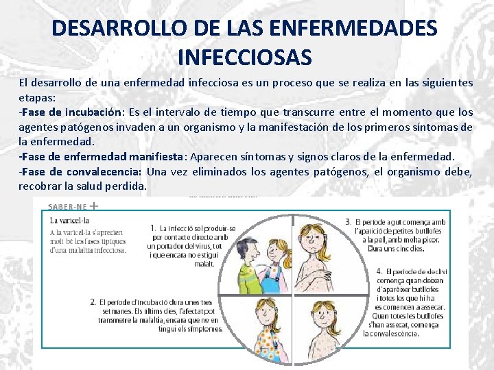 DESARROLLO DE LAS ENFERMEDADES INFECCIOSAS El desarrollo de una enfermedad infecciosa es un proceso