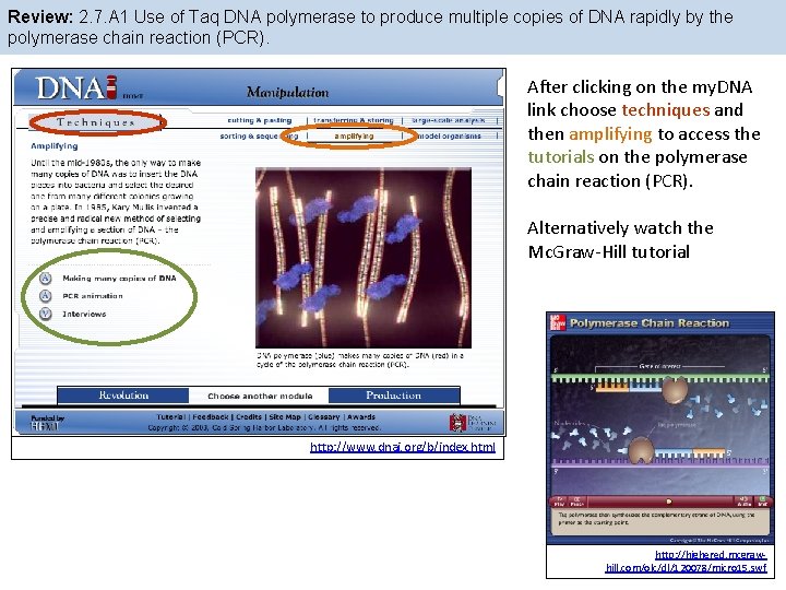Review: 2. 7. A 1 Use of Taq DNA polymerase to produce multiple copies Review: 2. 7. A 1 Use of Taq DNA polymerase to produce multiple copies