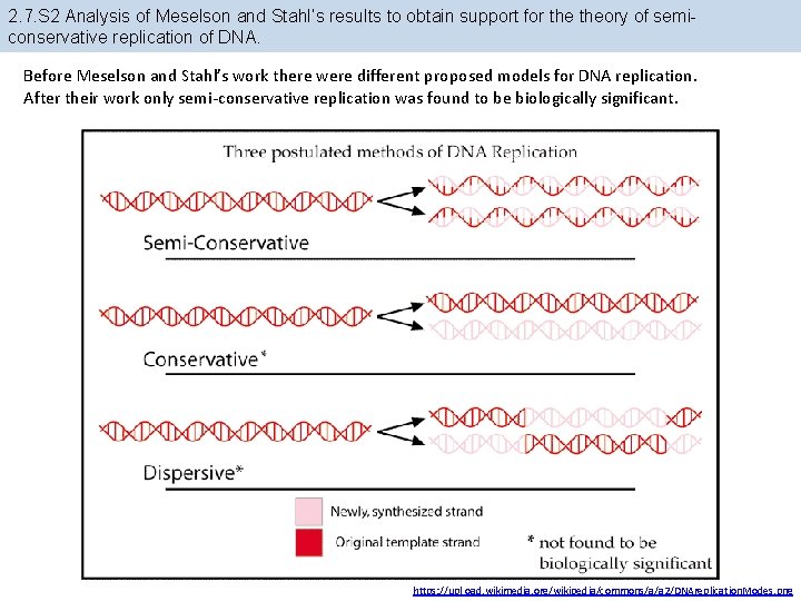 2. 7. S 2 Analysis of Meselson and Stahl’s results to obtain support for 2. 7. S 2 Analysis of Meselson and Stahl’s results to obtain support for