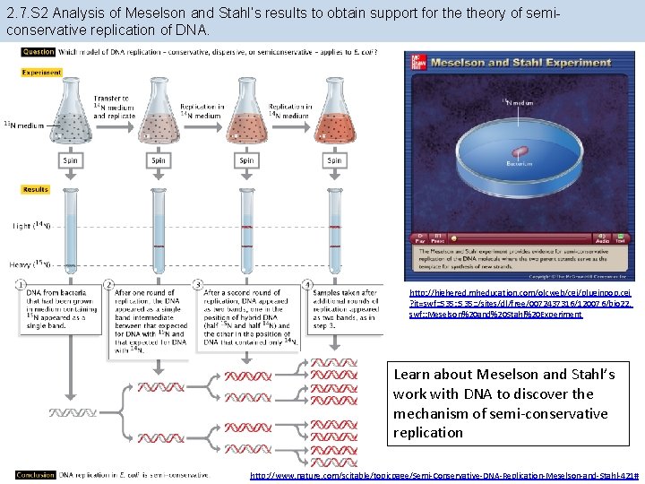 2. 7. S 2 Analysis of Meselson and Stahl’s results to obtain support for 2. 7. S 2 Analysis of Meselson and Stahl’s results to obtain support for